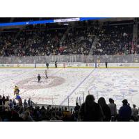 The ice is littered duing chuck-a-puck at an Atlanta Gladiators game