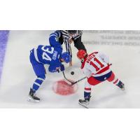 Wichita Thunder face off with the Allen Americans