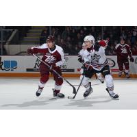 Peterborough Petes battle the Guelph Storm