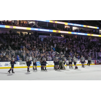 Jacksonville Icemen Military Weekend crowd