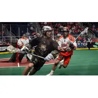 Albany Firewolves battle the Buffalo Bandits