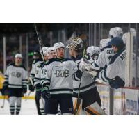 Maine Mariners exchange fist bumps along the bench
