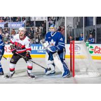 Belleville Senators left wing Jiri Smejkal in front of the Toronto Marlies goal