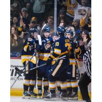 Erie Otters react celebrate a goal