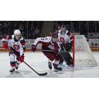 Peterborough Petes centre Chase Lefebvre (middle) vs. the Ottawa 67's