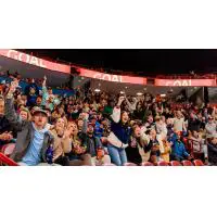 Greenville Swamp Rabbits fans
