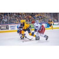 Kitchener Rangers battle the Erie Otters