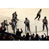 Youngstown Phantoms on the ice