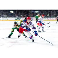 Kitchener Rangers' Matthew Sop and London Knights' Jackson Edward in action