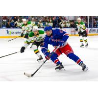 Kitchener Rangers' Hunter Brzustewicz in action