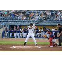 Belleville Senators' Noah Campbell at bat