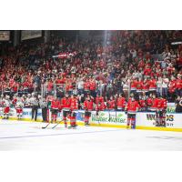 Rockford IceHogs and a big crowd at the BMO Center