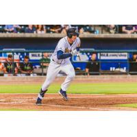 Charleston RiverDogs in action