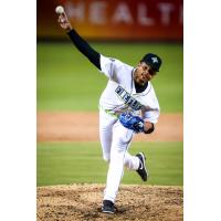 Columbia Fireflies' Jarold Rosado in action
