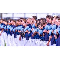 Victoria HarbourCats on game night