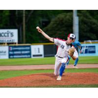 Victoria HarbourCats' Flynn Ridley on the mound