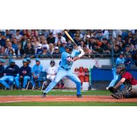 Victoria HarbourCats' Lucas Ramirez at bat