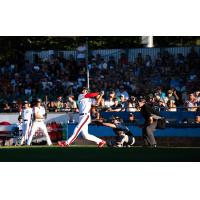 Victoria HarbourCats at bat