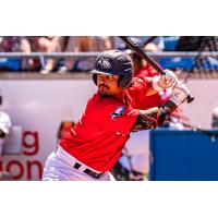 Victoria HarbourCats at bat