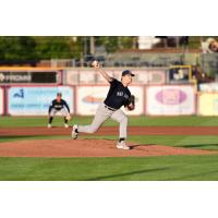 Somerset Patriots pitcher Trystan Vrieling