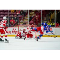 Kitchener Rangers' Justin Bottineau in action