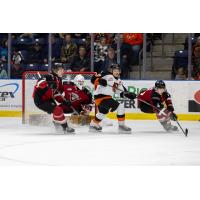 Medicine Hat Tigers battle the Vancouver Giants