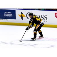 Wheeling Nailers' Sam Houde on game night