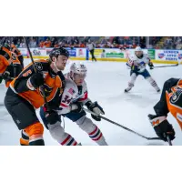 Lehigh Valley Phantoms' Ethan Samson versus Springfield Thunderbirds' Samuel Bitten