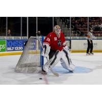 Allen Americans goaltender Dylan Wells