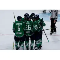 Florida Everblades celebrate a goal