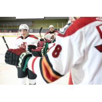 Tucson Roadrunners exchange congratulations