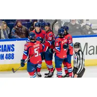 Springfield Thunderbirds on game night