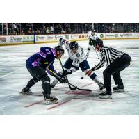 Worcester Railers' Matt DeMelis versus Savannah Ghost Pirates' Liam Walsh