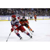 Allen Americans defenseman J.C. Brassard