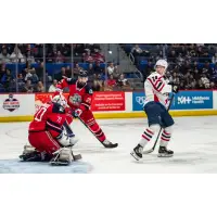 Hartford Wolf Pack's Louis Domingue and Blake Hillman battle the Springfield Thunderbirds