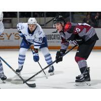 Peterborough Petes centre Adam Levac (right) vs. the Brampton Steelheads