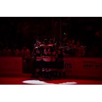 South Carolina Stingrays celebrate a goal