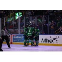 Florida Everblades huddle following a goal