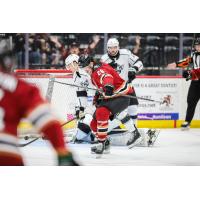 Tucson Roadrunners forward Curtis Douglas celebrates after scoring