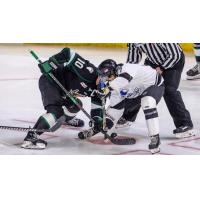 Wichita Thunder vs. the Utah Grizzlies in the faceoff circle