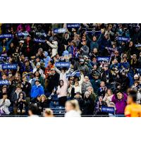 Seattle Reign FC supporters