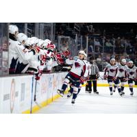 South Carolina Stingrays' Austin Magera congratulated by team