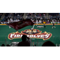 Fans support the Albany Firewolves