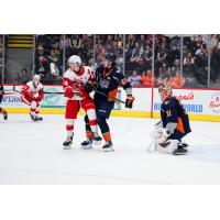 Soo Greyhounds' Brady Martin and Flint Firebirds' Rylan Fellinger and Nathaniel Day on the ice