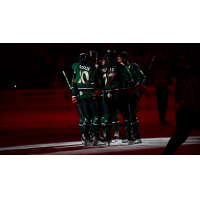 South Carolina Stingrays celebrate in St. Patricks Day jerseys