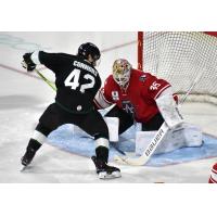 Allen Americans goaltender Anson Thornton faces the Utah Grizzlies