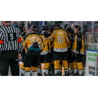 Wichita Thunder celebratory huddle
