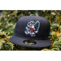 Jersey Shore Shine Barons cap