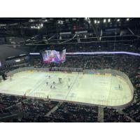 Grand Rapids Griffins in action