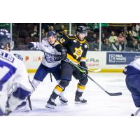Forward Ayden MacDonald stands his ground with the Maine Mariners